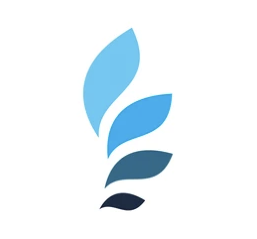 BlueLeaf Technologies logo