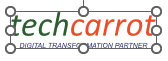 techcarrot logo