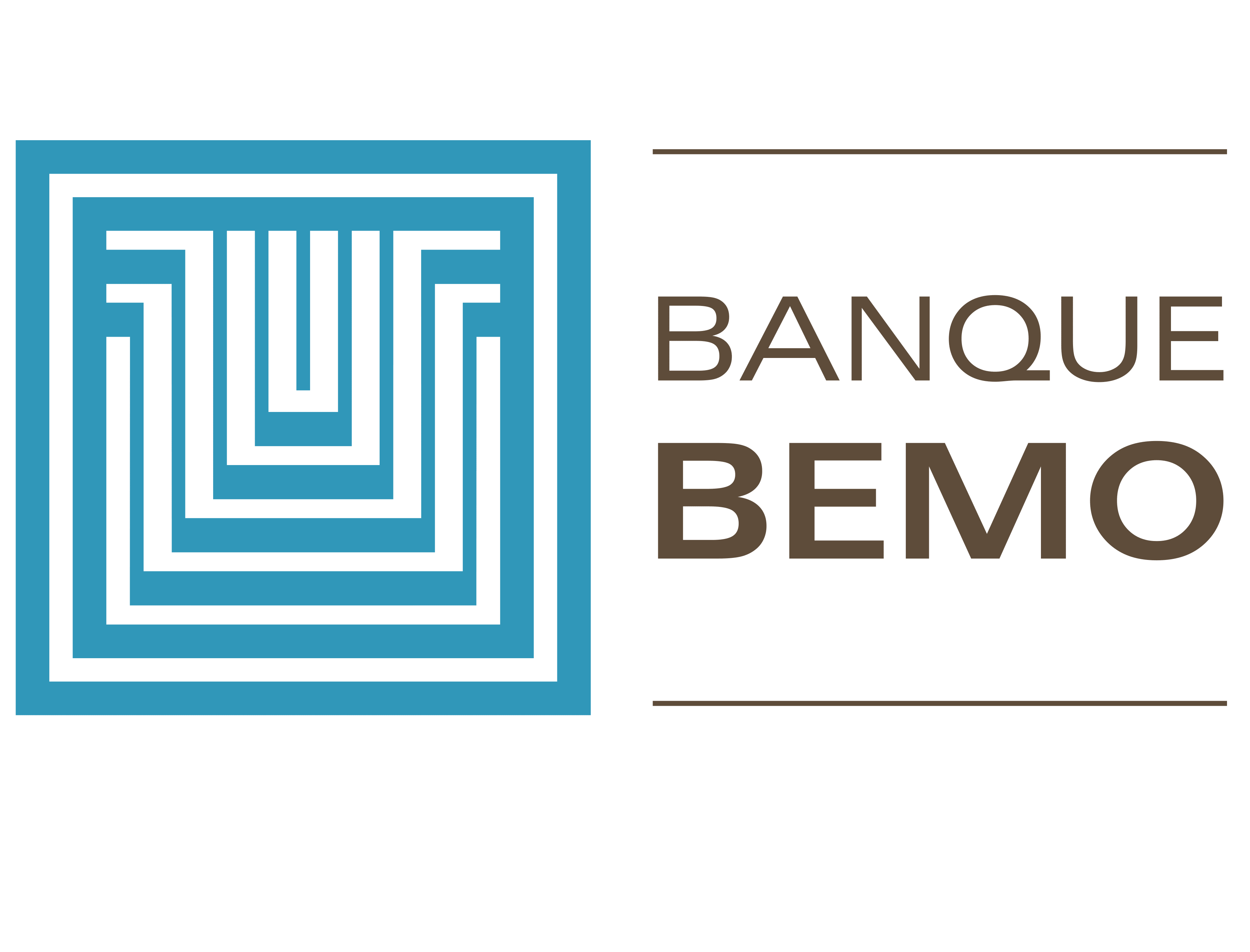 Banque BEMO logo